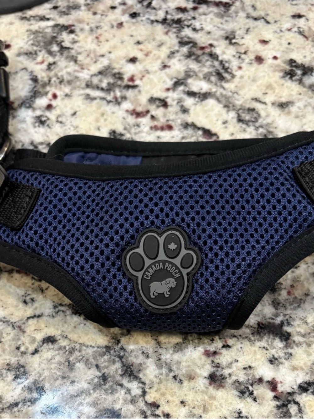 Canada Pooch Navy Mesh Dog Harness with Black Trim